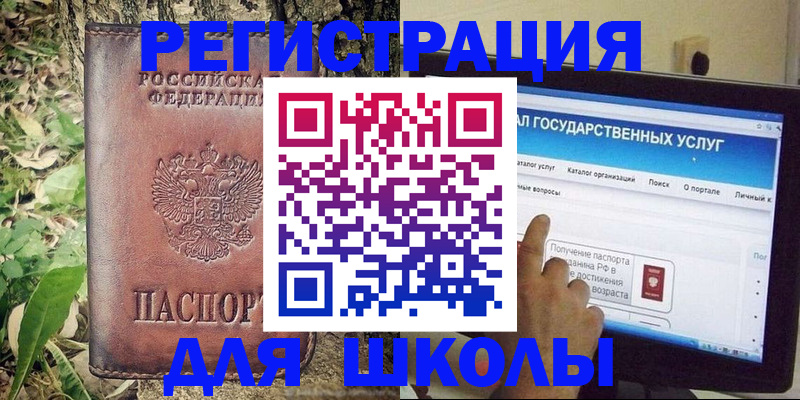 прописка для школы в Камчатском крае